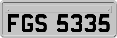 FGS5335