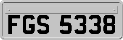 FGS5338