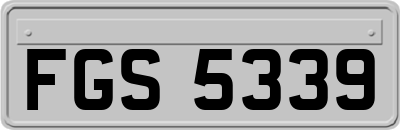 FGS5339