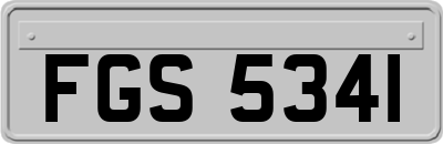 FGS5341