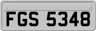 FGS5348