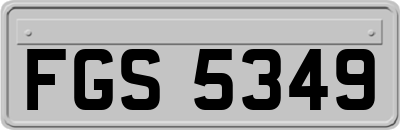FGS5349