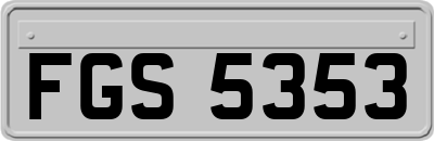 FGS5353