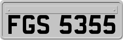 FGS5355