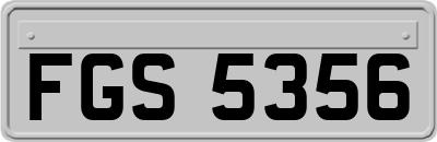 FGS5356