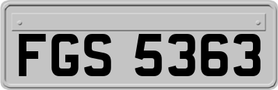 FGS5363