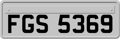 FGS5369