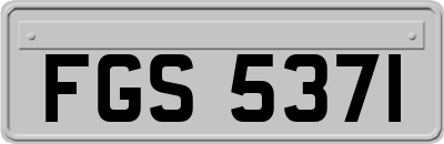 FGS5371