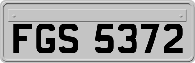 FGS5372