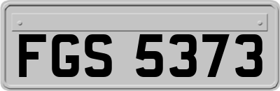FGS5373