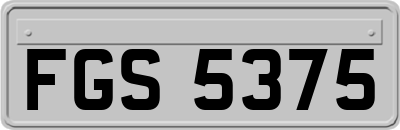 FGS5375