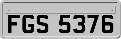 FGS5376