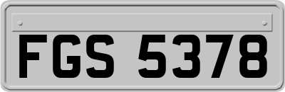 FGS5378