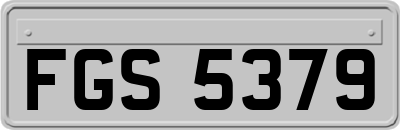 FGS5379