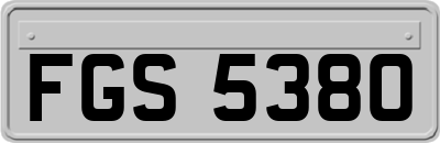 FGS5380