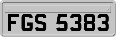 FGS5383
