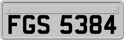FGS5384