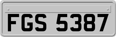 FGS5387
