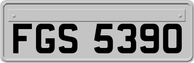 FGS5390