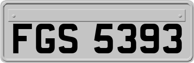FGS5393