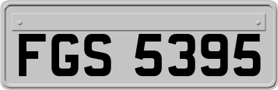 FGS5395