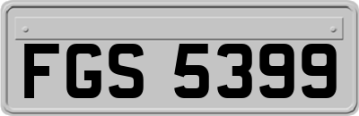 FGS5399