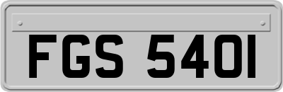 FGS5401
