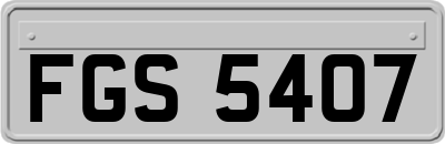 FGS5407