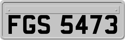 FGS5473