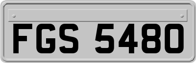 FGS5480