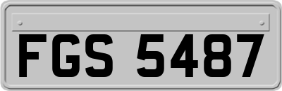 FGS5487