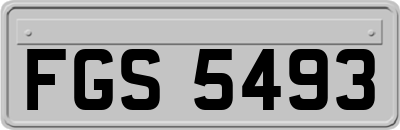 FGS5493