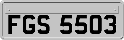 FGS5503