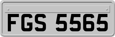 FGS5565