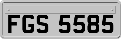 FGS5585