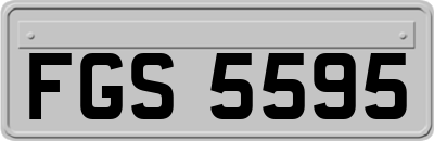 FGS5595