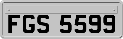 FGS5599