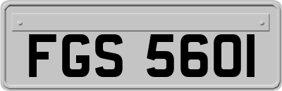 FGS5601