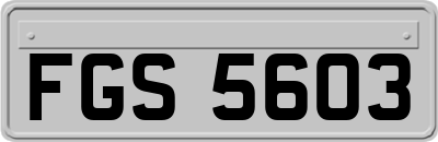 FGS5603