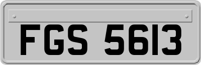 FGS5613