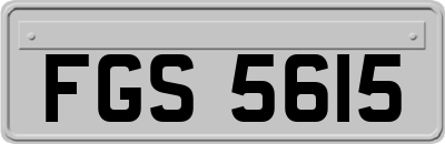 FGS5615