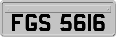 FGS5616