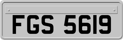 FGS5619