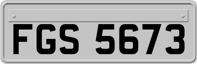 FGS5673