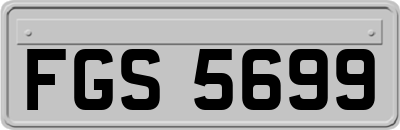 FGS5699