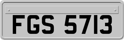 FGS5713