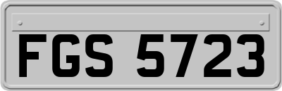 FGS5723