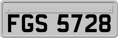 FGS5728