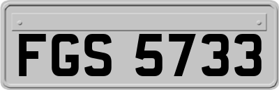 FGS5733