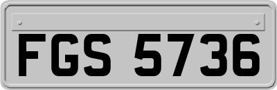 FGS5736